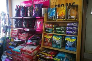 CLINOMOVIL VETERINARIA servicio veterinario a domicilio