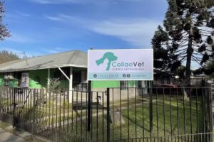 CollaoVet