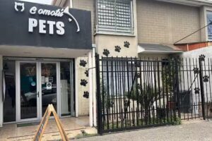 Comotu Pets