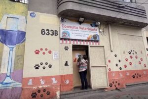 Consulta Veterinaria