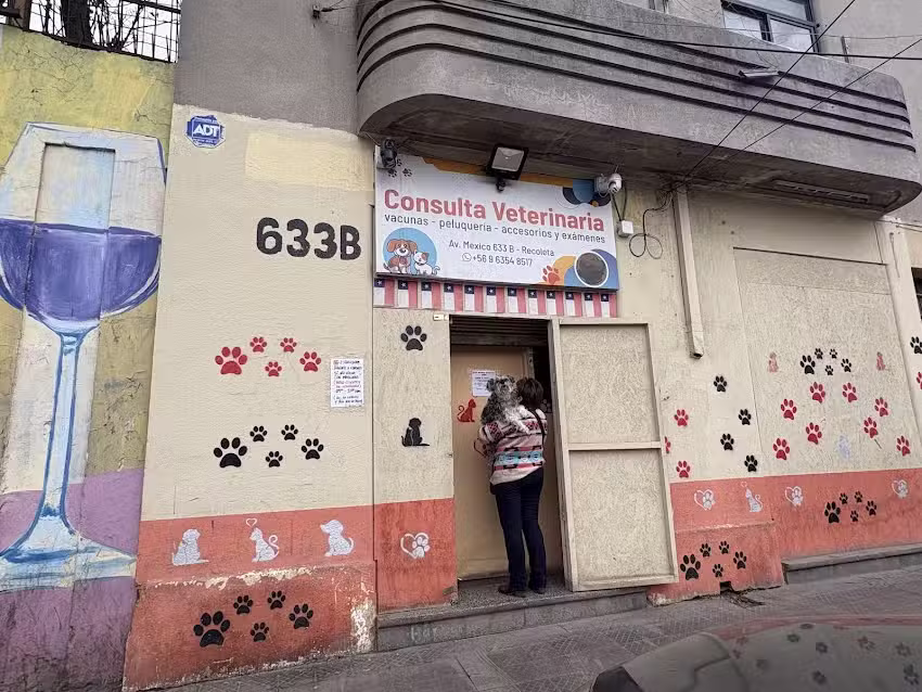 Consulta Veterinaria