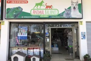 Consulta veterinaria animal balance