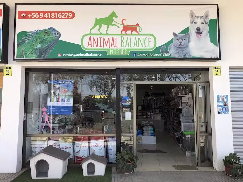 Consulta veterinaria animal balance