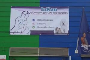 Consulta Veterinaria Inkan