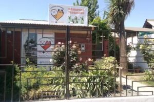 Consulta Veterinaria Mi +cota