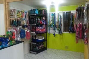 Consulta Veterinaria Mirasol