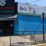 Consulta Veterinaria Mundo Pet&rsquo;s