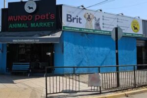 Consulta Veterinaria Mundo Pet&rsquo;s