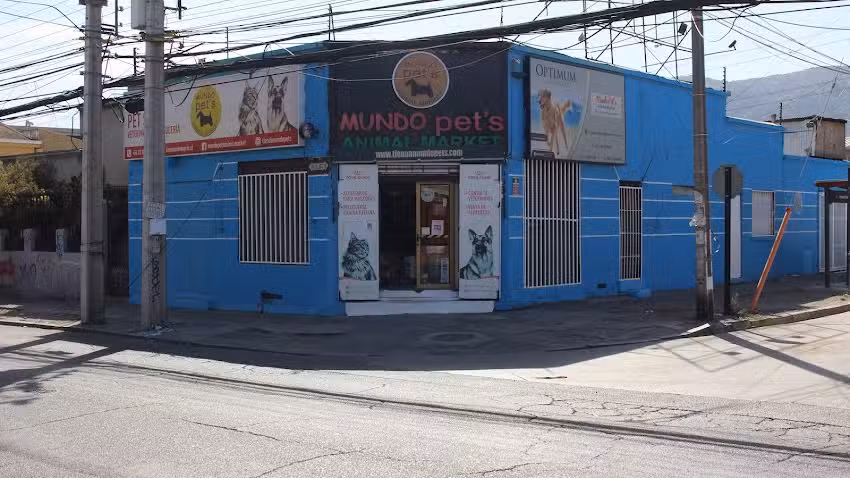 Consulta Veterinaria Mundo Pet&rsquo;s