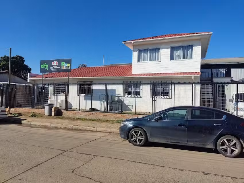 Consulta Veterinaria R y B