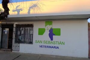 Consulta Veterinaria San Sebastián