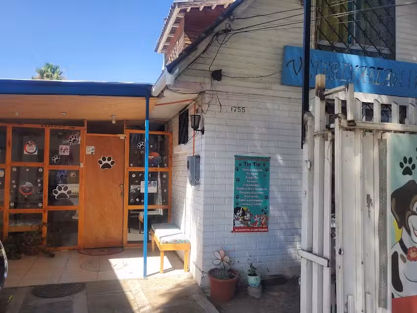 Consulta Veterinaria Tin Tin