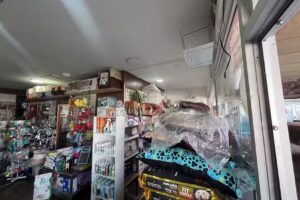 Consulta Veterinaria Yo Mazzcota