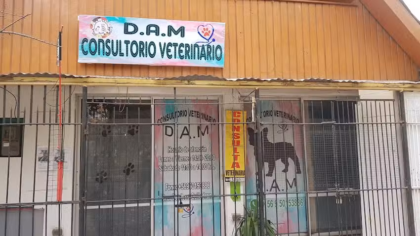Consultorio Veterinario DAM