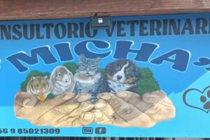 Consultorio y farmacia Veterinaria Micha