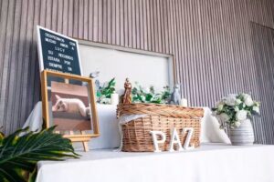 Cremación de Mascotas Ecoalmas