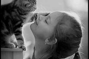 Crematorio Cielo de Mascotas