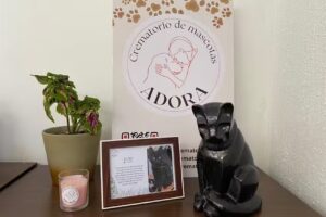 Crematorio de mascotas ADORA
