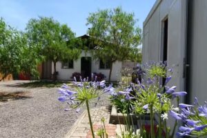 Crematorio para Mascotas Lealtad Animal