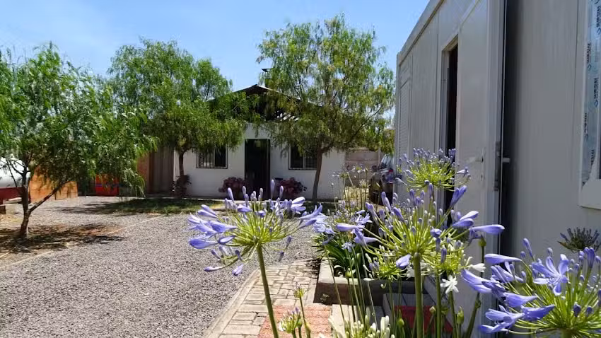 Crematorio para Mascotas Lealtad Animal