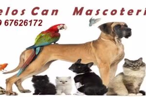 D&rsquo;Pelos Can Mascoter&iacute;a