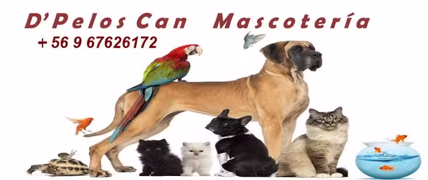 D&rsquo;Pelos Can Mascoter&iacute;a