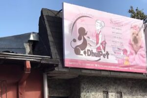 Dhul Pet Centro Integral de Mascotas