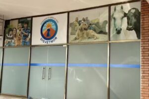 DISTRIBUIDORA VETERINARIA DEL NORTE SPA
