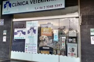 Disvet &ndash; Cl&iacute;nica Veterinaria