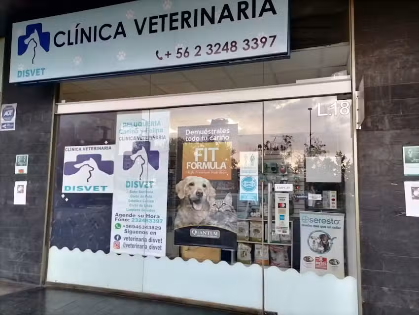 Disvet &ndash; Cl&iacute;nica Veterinaria