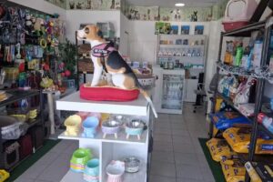 Dog-Cat Mania Pet Shop