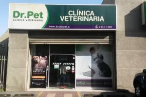 Dr.Pet Cl&iacute;nica Veterinaria &ndash; Ferrer &Ntilde;u&ntilde;oa