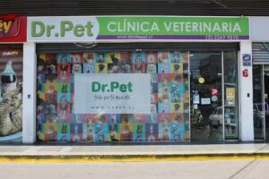 Dr.Pet Cl&iacute;nica Veterinaria &ndash; Pedro de Valdivia