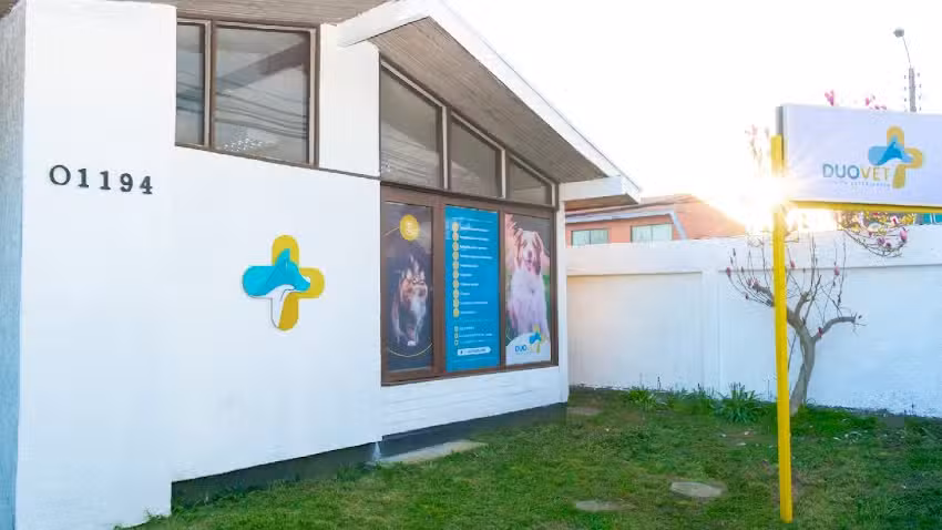 DuoVet Cl&iacute;nica Veterinaria