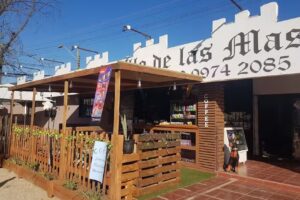 El Castillo de las Mascotas Olmu&eacute;