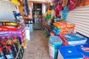 EL CASTILLO DE TU MASCOTA