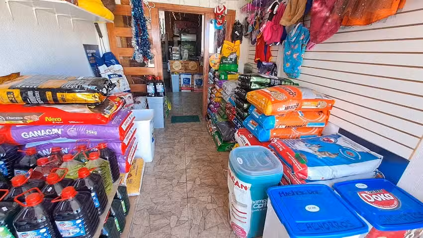 EL CASTILLO DE TU MASCOTA