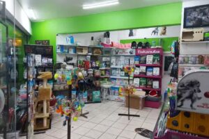 El Club de las Mascotas