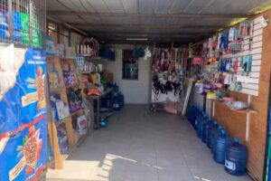 El hogar de las Mascotas