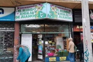 El Mundo Animal De Juancho