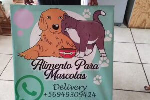 El Regalón De La Casa