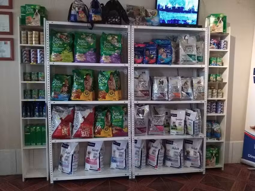 Emergencias Veterinarias Puerto Montt