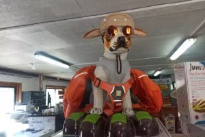 Espacio Mascotas SpA