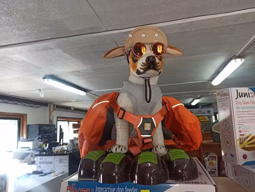 Espacio Mascotas SpA