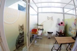 EVER PET Cl&iacute;nica y Hospital Veterinario.