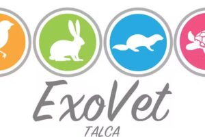 ExoVet Talca