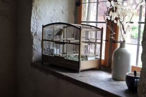 F&Aacute;BRICA DE JAULAS JUAN CARLOS CARES