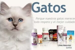 Farmacia Veterinaria Cruz Azul &ndash; Antofagasta