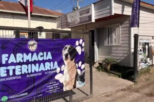 Farmacia veterinaria Huelquen