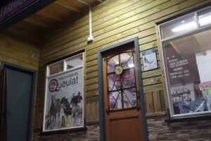 Farmacia veterinaria Queulat